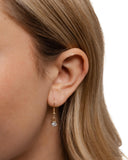 Graceful Glory - Gold