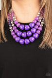 Forbidden Fruit - Purple Paparazzi Necklace